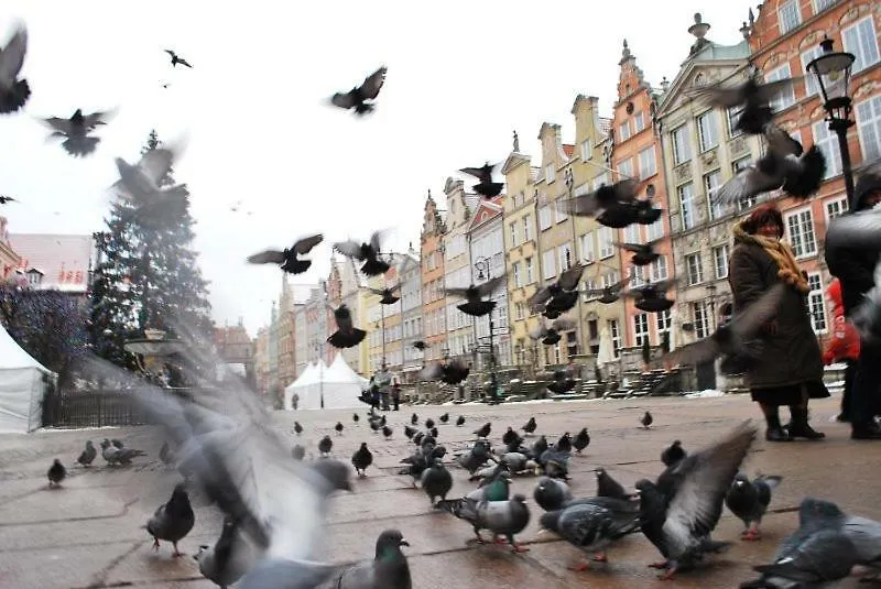 Apartament Sloneczne Poludnie Apartment Gdansk Poland